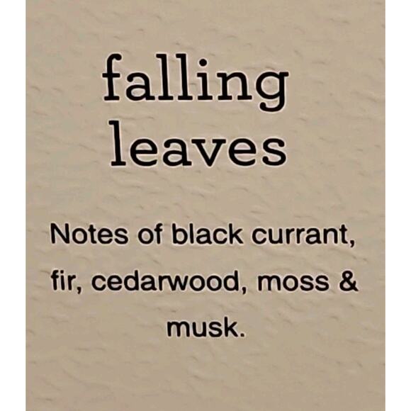 Sand And fog Diffuser Oil Fall 8pk Classic Scents Fragrance Diffuser Oil Set - Picture 4 of 9